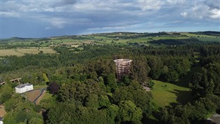 Beyond the Trees, Houses & Gardens Wicklow GOLD